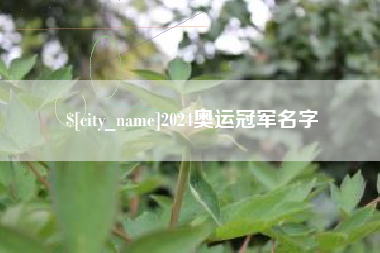 乐平2024奥运冠军名字