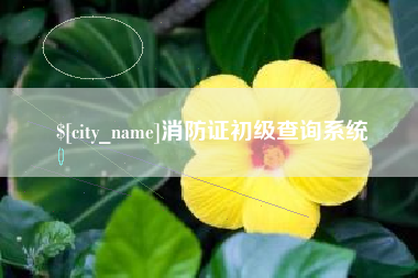 乐平消防证初级查询系统