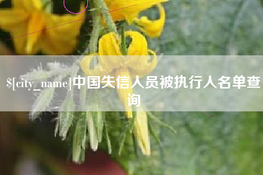 乐平中国失信人员被执行人名单查询