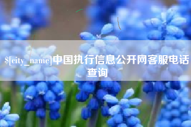 乐平中国执行信息公开网客服电话查询