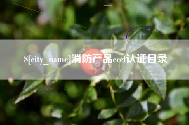 乐平消防产品cccf认证目录