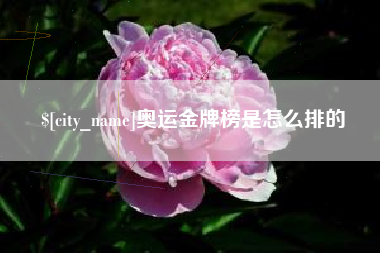 乐平奥运金牌榜是怎么排的