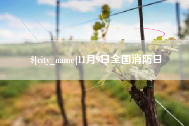 乐平11月9日全国消防日