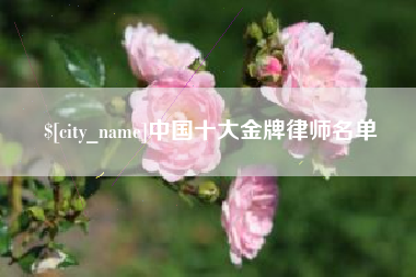 乐平中国十大金牌律师名单