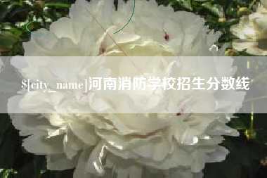 乐平河南消防学校招生分数线