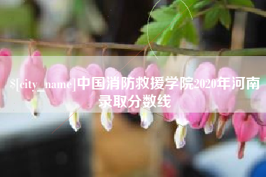 乐平中国消防救援学院2020年河南录取分数线