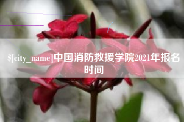 乐平中国消防救援学院2021年报名时间