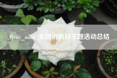 乐平全国消防日主题活动总结