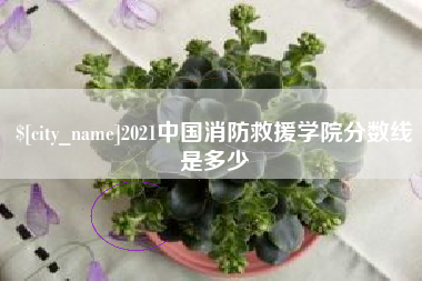 乐平2021中国消防救援学院分数线是多少