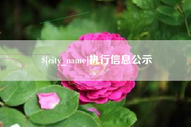 乐平执行信息公示