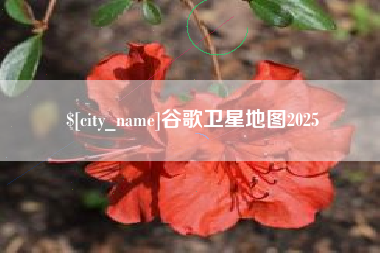 乐平谷歌卫星地图2025