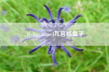 乐平九宫格盘子
