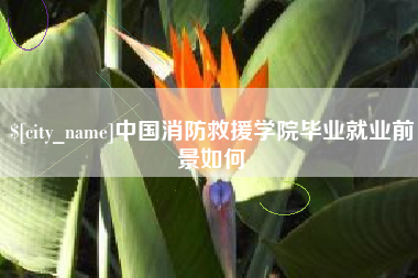 乐平中国消防救援学院毕业就业前景如何