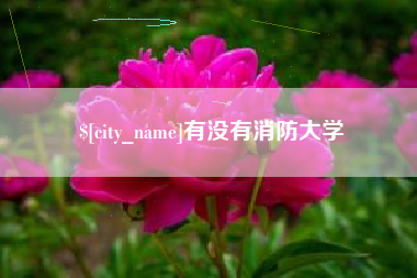 乐平有没有消防大学
