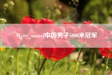 乐平中国男子5000米冠军