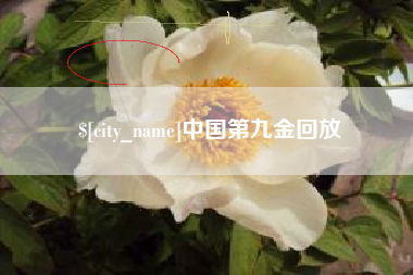 乐平中国第九金回放