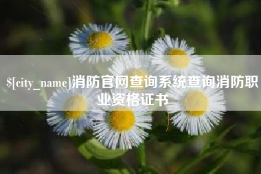 乐平消防官网查询系统查询消防职业资格证书