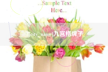 乐平九宫格牌子