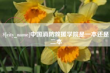 乐平中国消防救援学院是一本还是二本