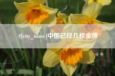 乐平中国已经几枚金牌