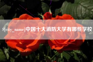 乐平中国十大消防大学有哪些学校