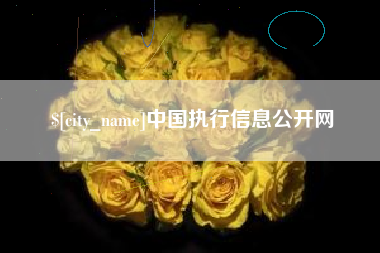 乐平中国执行信息公开网