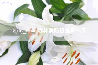 乐平森林消防日是哪一天