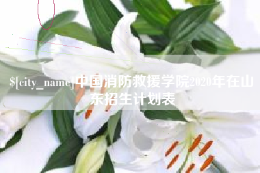 乐平中国消防救援学院2020年在山东招生计划表