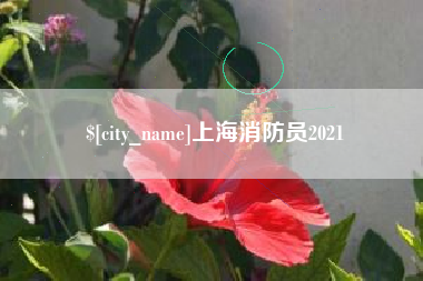 乐平上海消防员2021