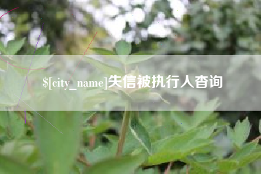 乐平失信被执行人杳询