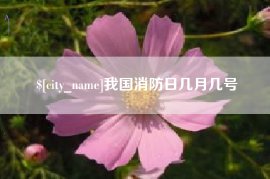 乐平我国消防日几月几号