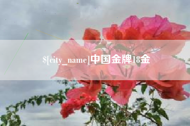 乐平中国金牌18金
