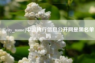 乐平中国执行信息公开网是黑名单吗