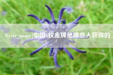 乐平中国6枚金牌是哪些人获得的
