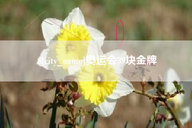 乐平奥运会39块金牌