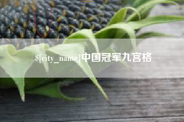 乐平中国冠军九宫格