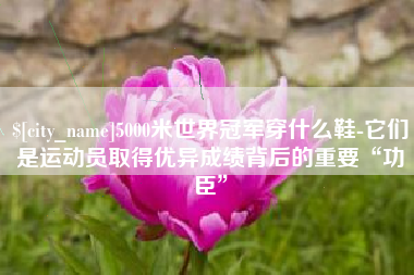 乐平5000米世界冠军穿什么鞋-它们是运动员取得优异成绩背后的重要“功臣”