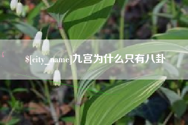 乐平九宫为什么只有八卦