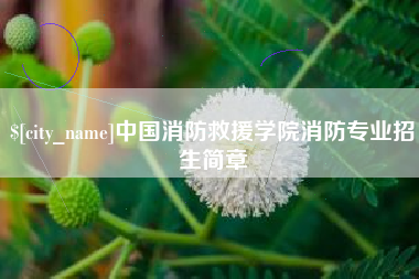 乐平中国消防救援学院消防专业招生简章