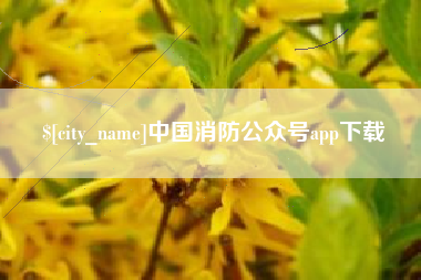 乐平中国消防公众号app下载