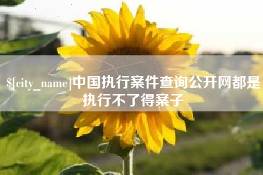 乐平中国执行案件查询公开网都是执行不了得案子
