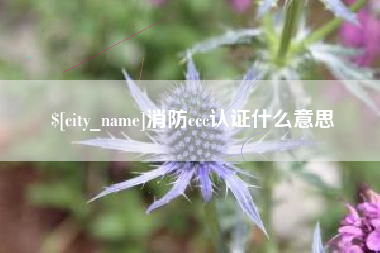 乐平消防ccc认证什么意思