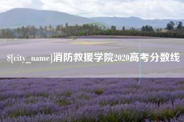 乐平消防救援学院2020高考分数线