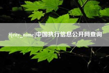 乐平中国执行信息公开网查询