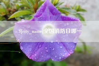 乐平全国消防日哪一