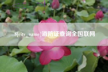 乐平消防证查询全国联网