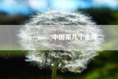 乐平中国第九个金牌