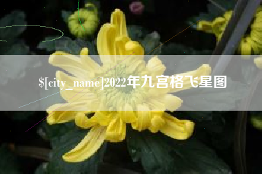 乐平2022年九宫格飞星图
