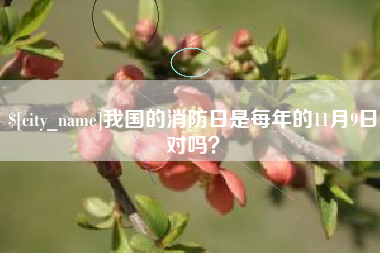 乐平我国的消防日是每年的11月9日对吗？