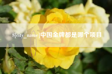 乐平中国金牌都是哪个项目